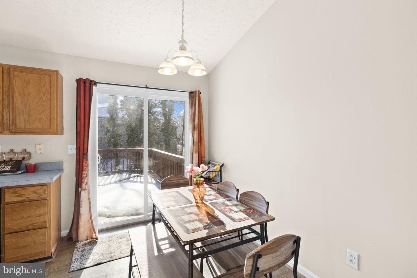 10733 Allie Drive photo 20