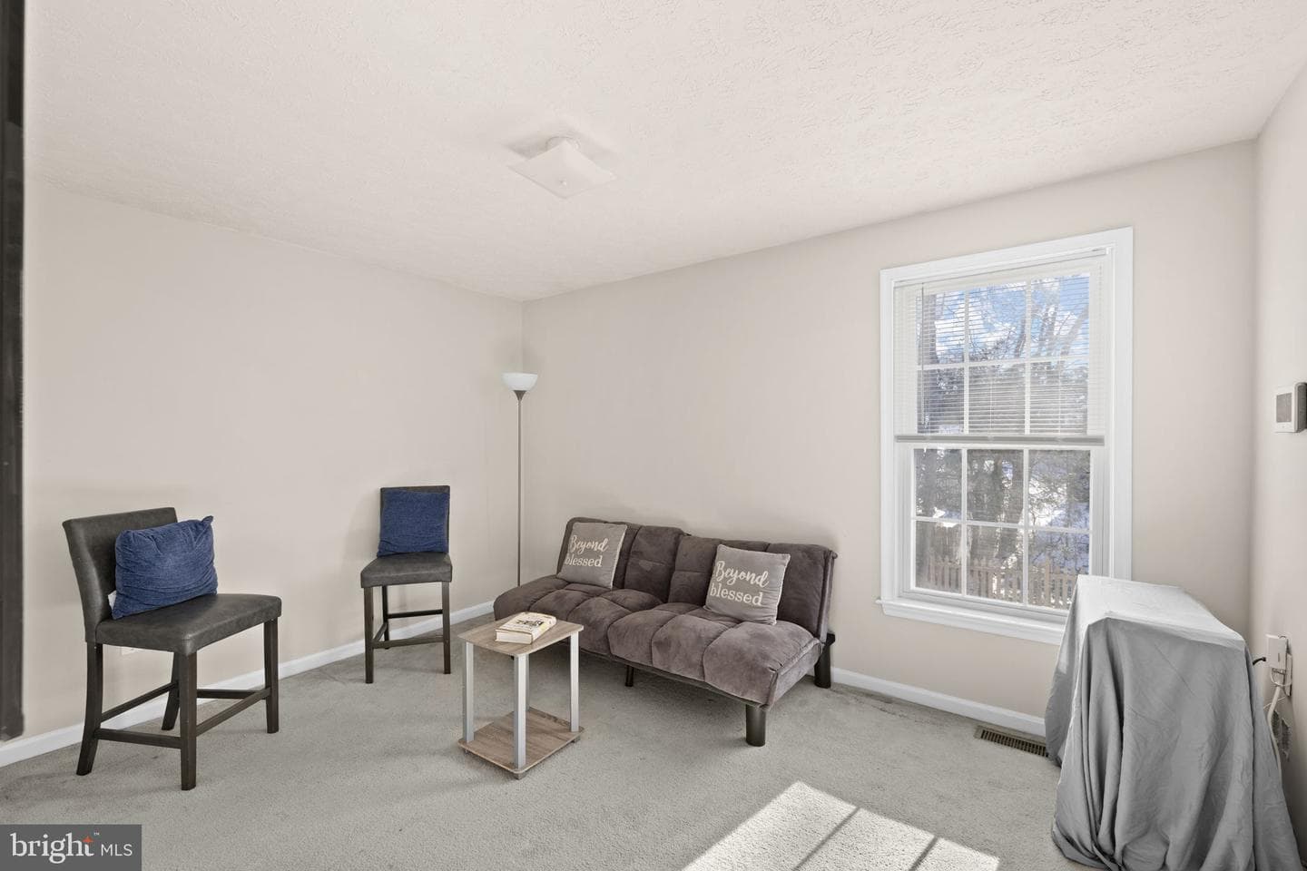 10733 Allie Drive photo 27