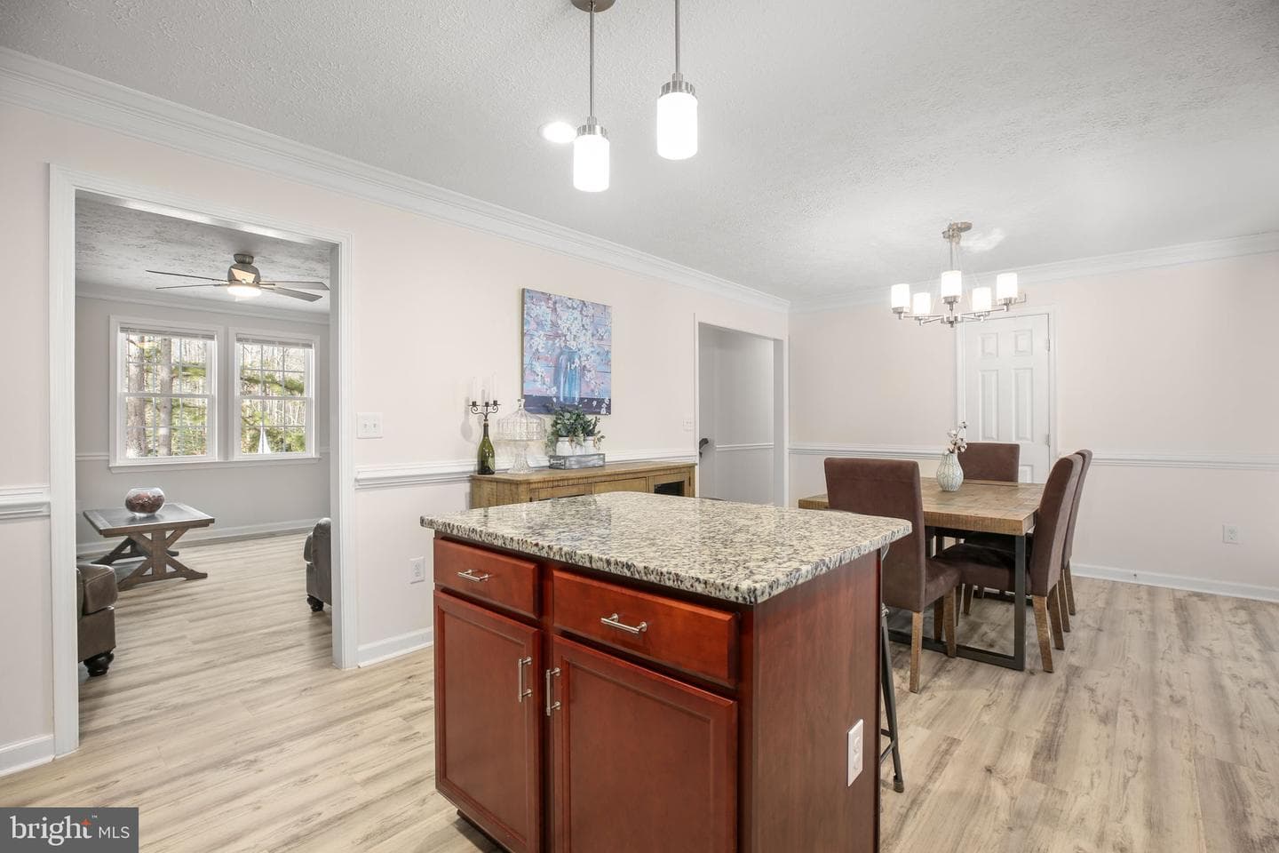 8515 Foundry Run Drive photo 14