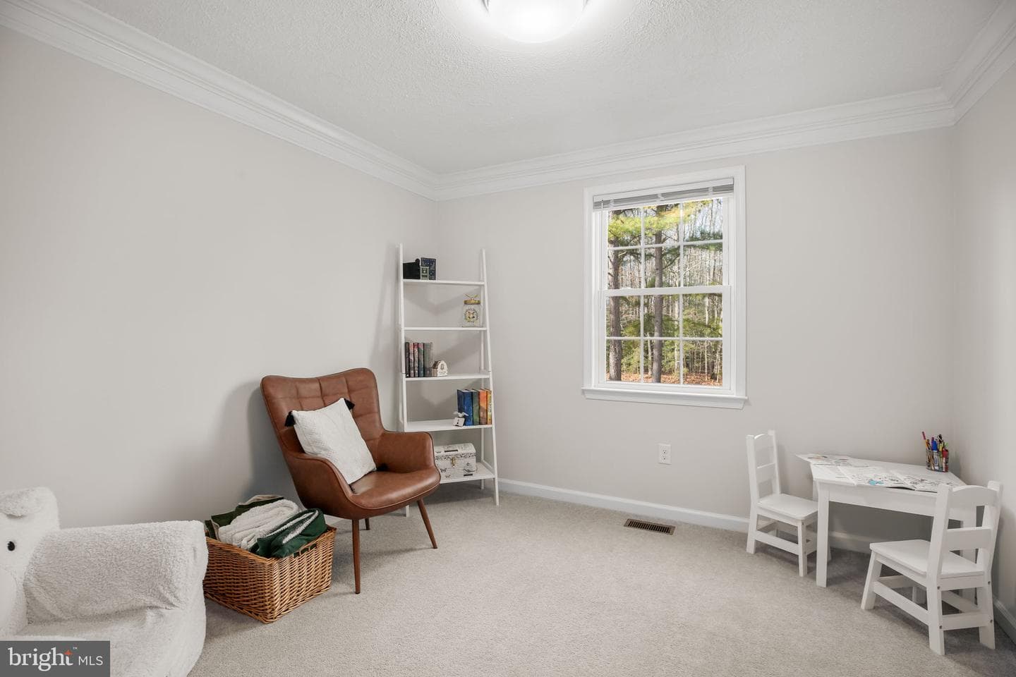 8515 Foundry Run Drive photo 22