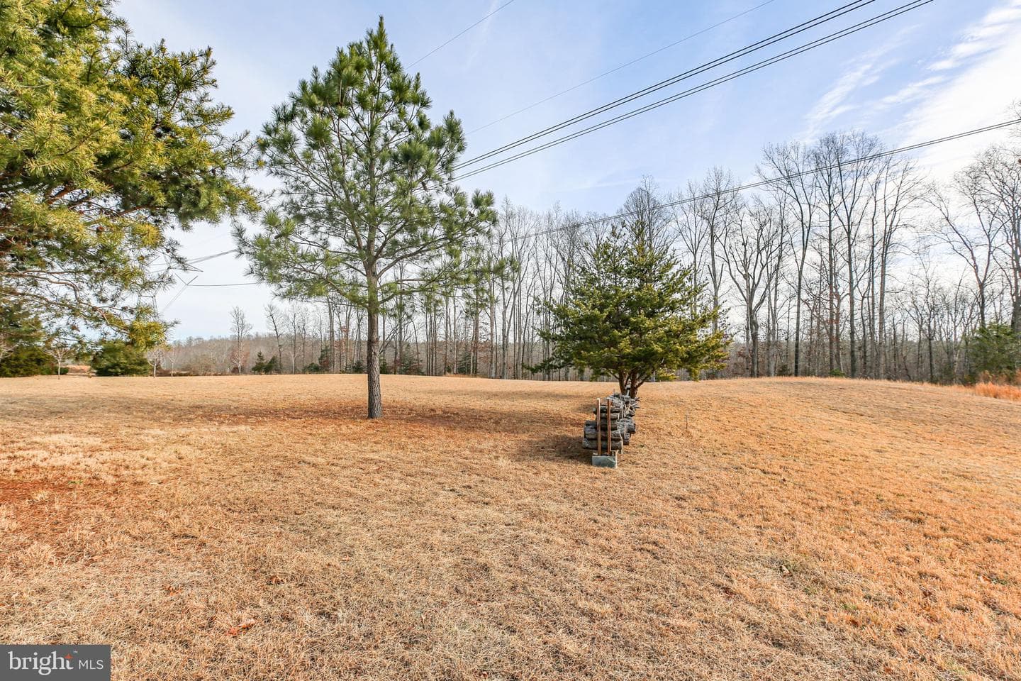8515 Foundry Run Drive photo 54