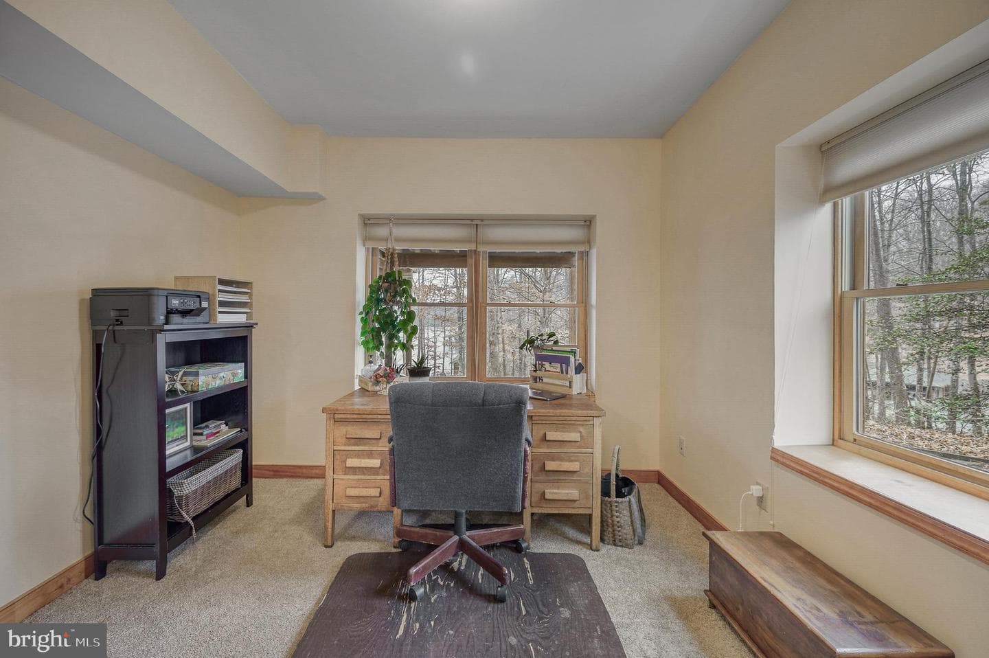 13101 Black Walnut Lane photo 39