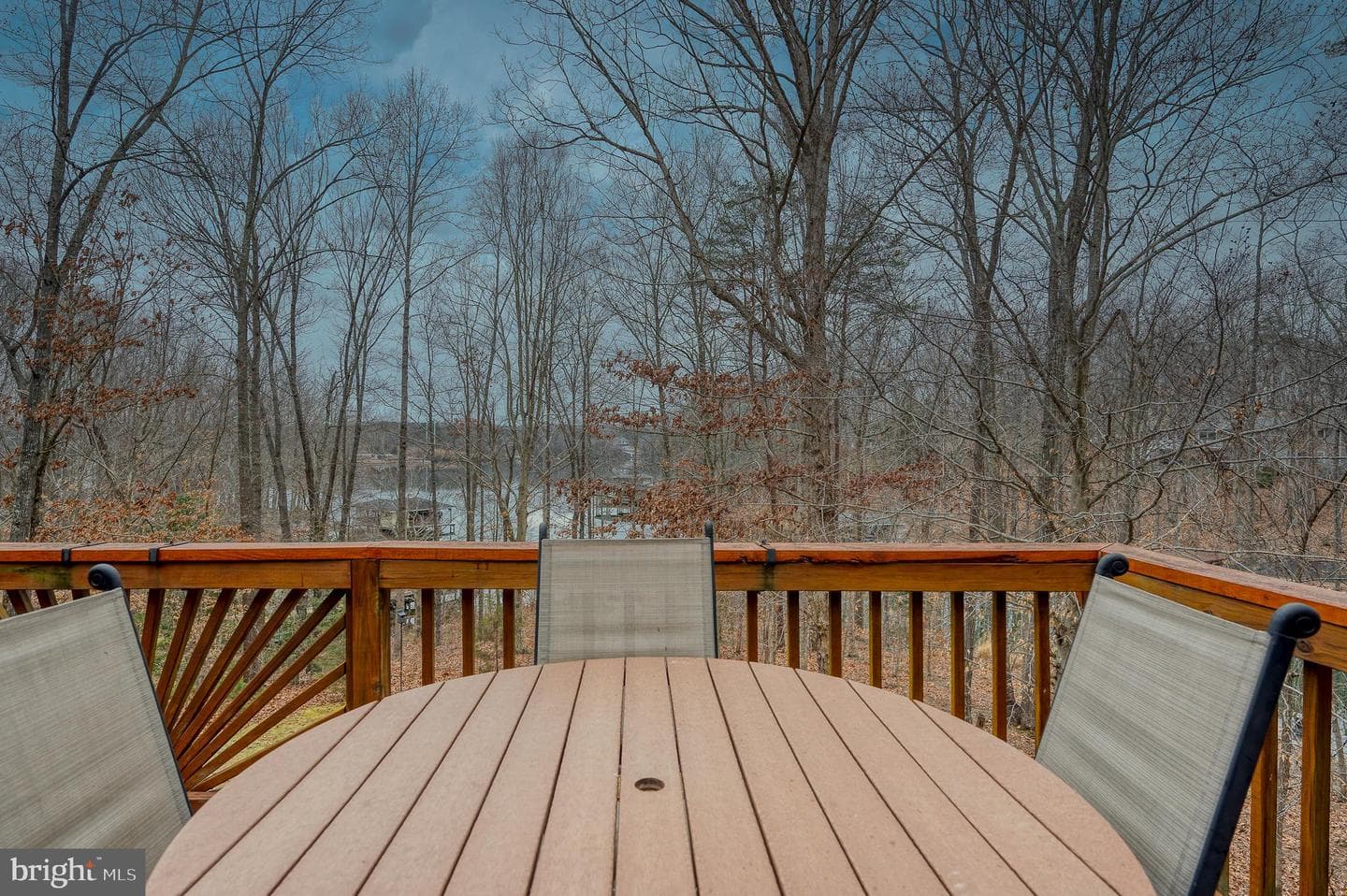 13101 Black Walnut Lane photo 48