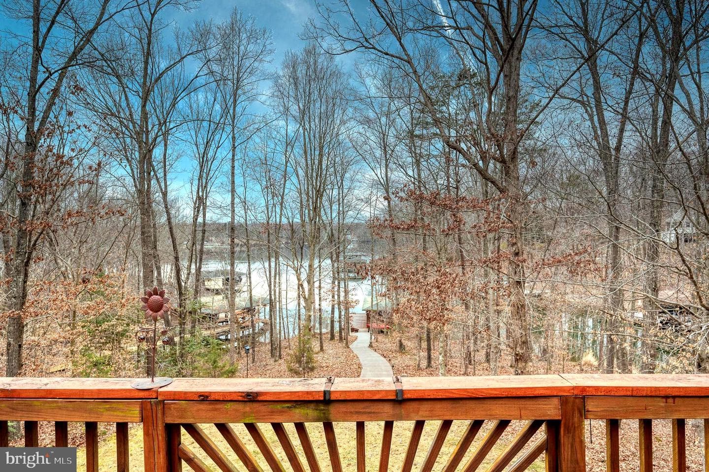 13101 Black Walnut Lane photo 50