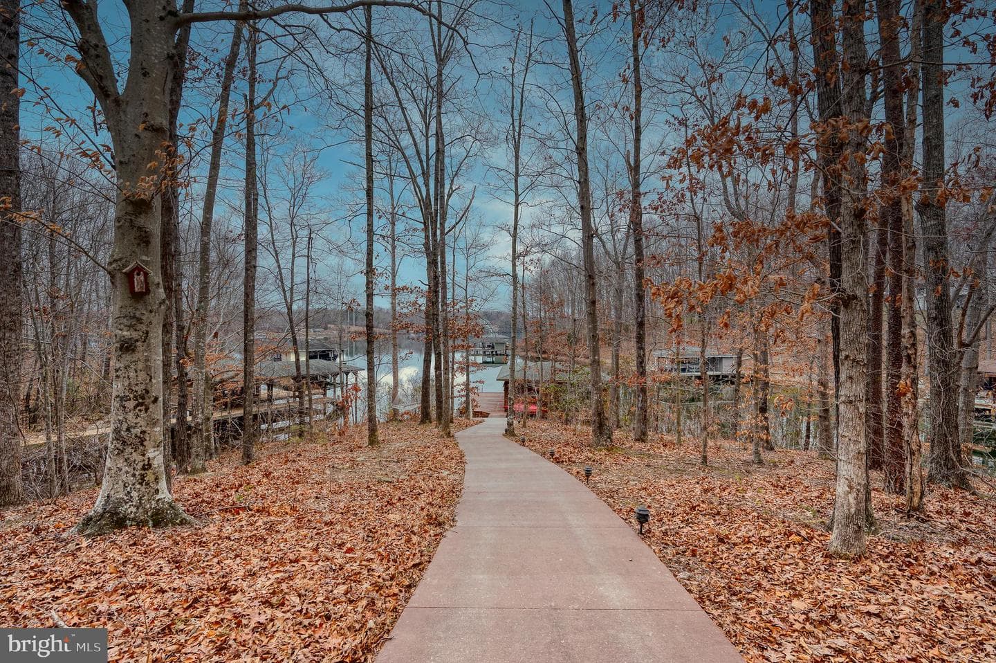 13101 Black Walnut Lane photo 52