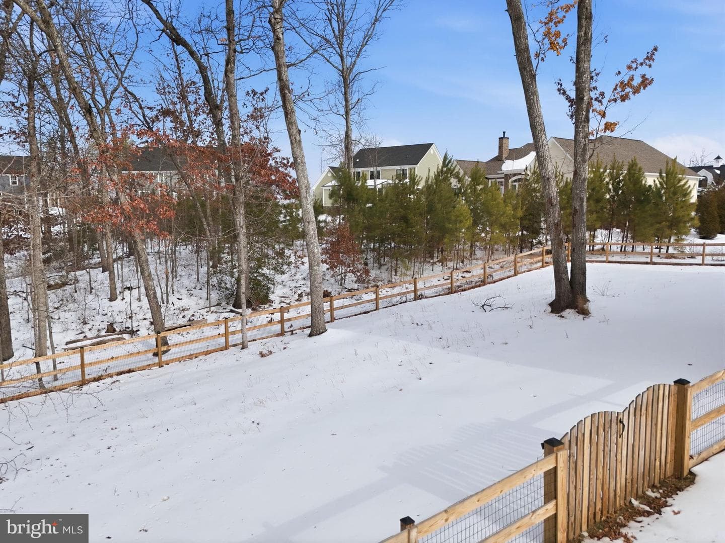 10404 Allendale Court photo 18