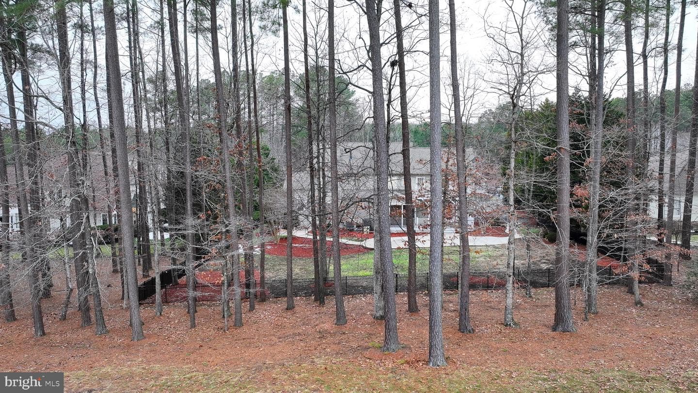 10519 Wildbrooke Court photo 64