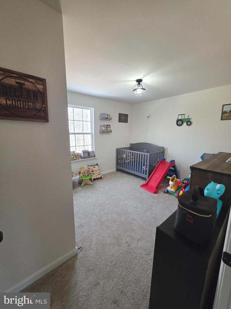 6014 Stubbs Bridge Road photo 16