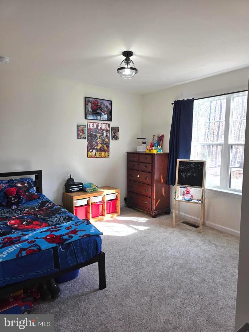 6014 Stubbs Bridge Road photo 20