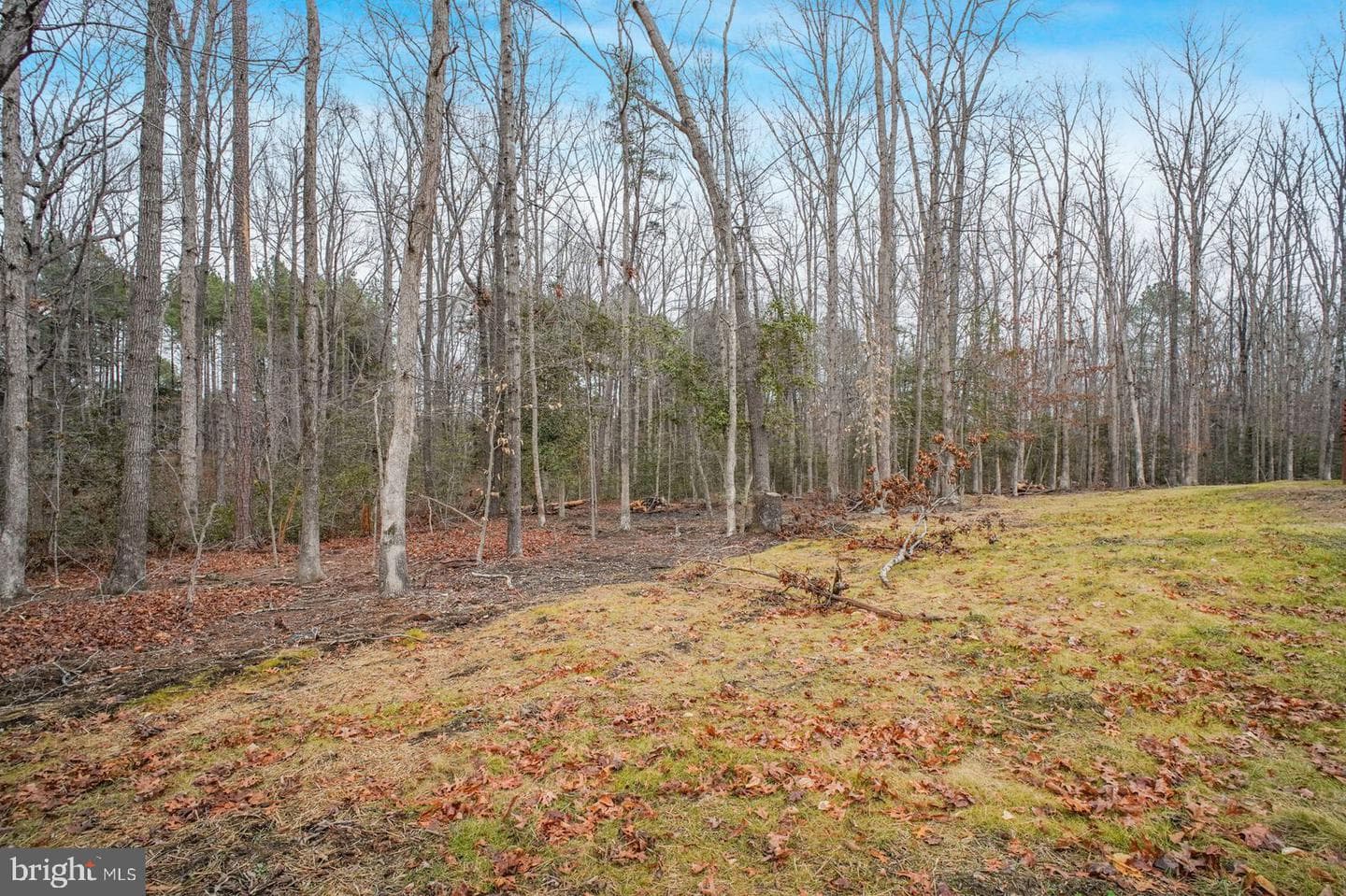 6113 Ridge Tree Road photo 21