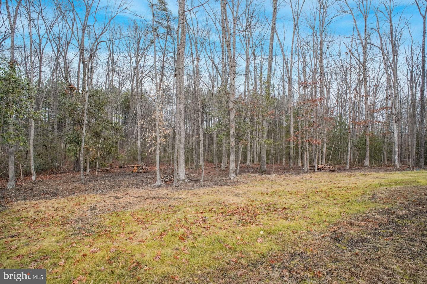 6113 Ridge Tree Road photo 22