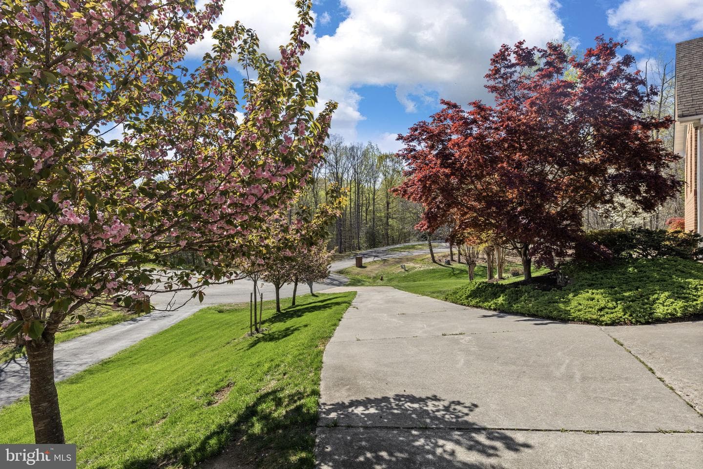 9504 Trentham Trail photo 57