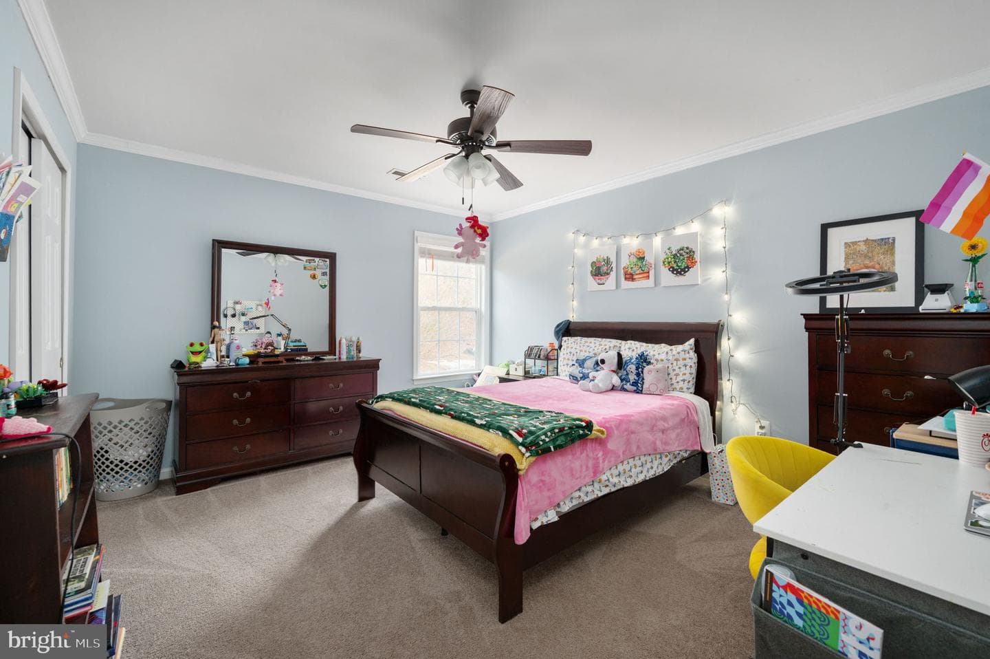 3623 Carolina Court photo 61