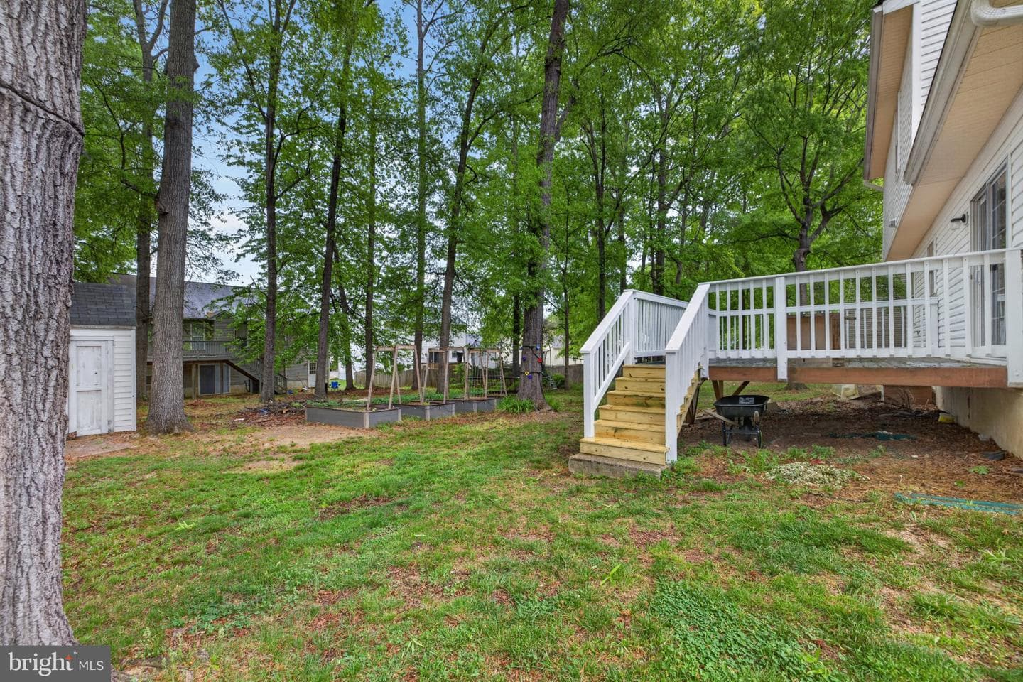 10111 Sharon Springs Drive photo 21