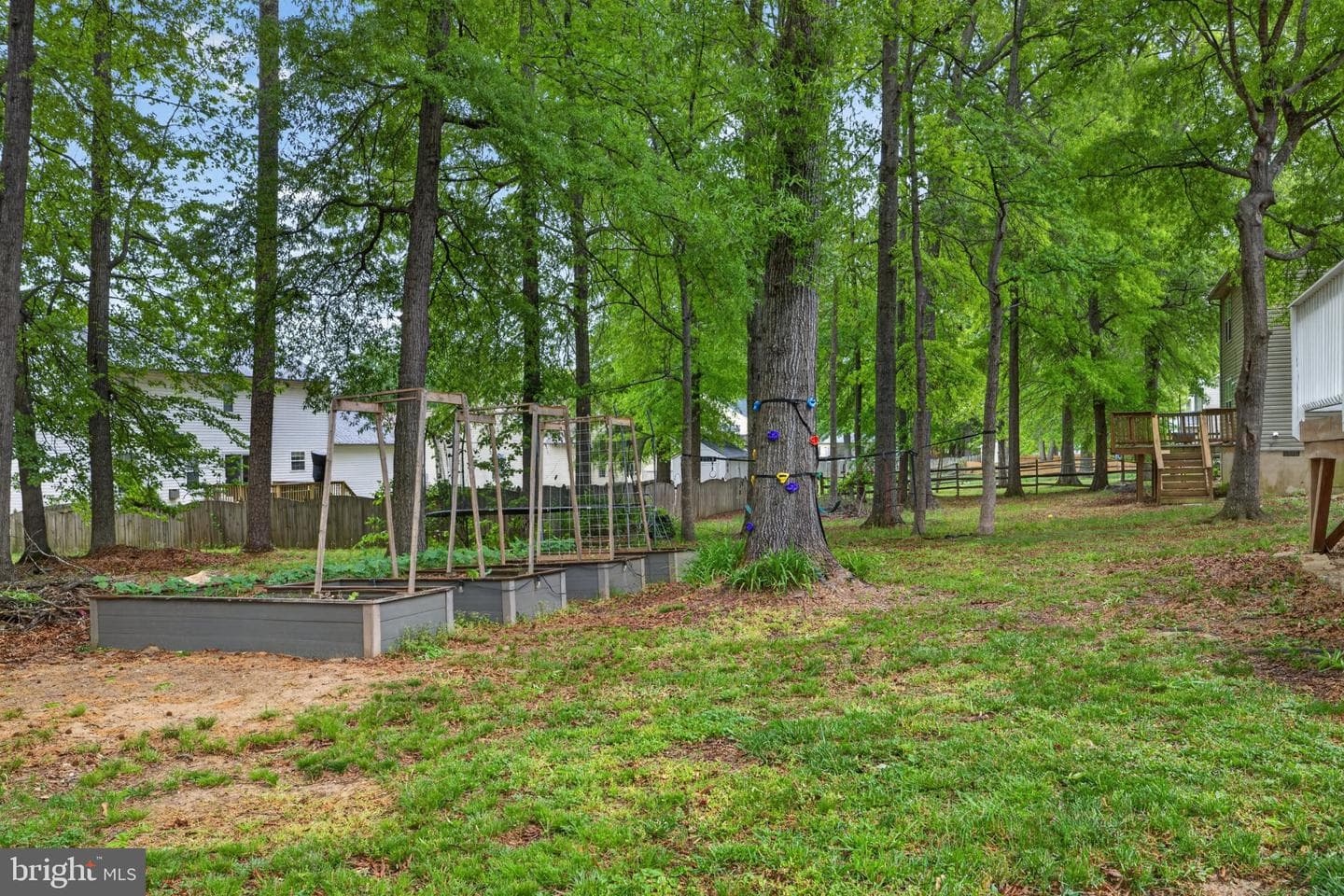 10111 Sharon Springs Drive photo 24