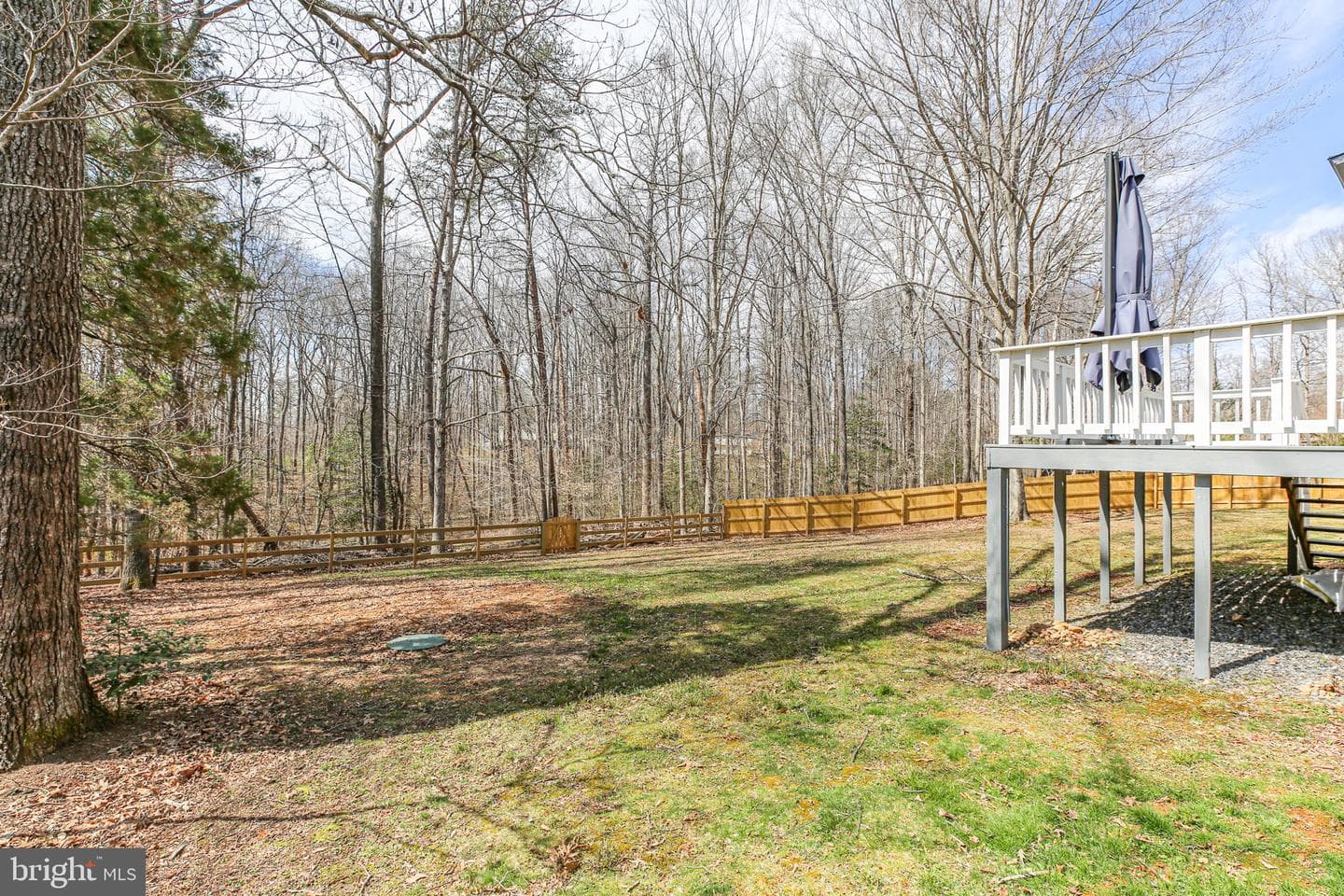 306 Clydesdale Court photo 42