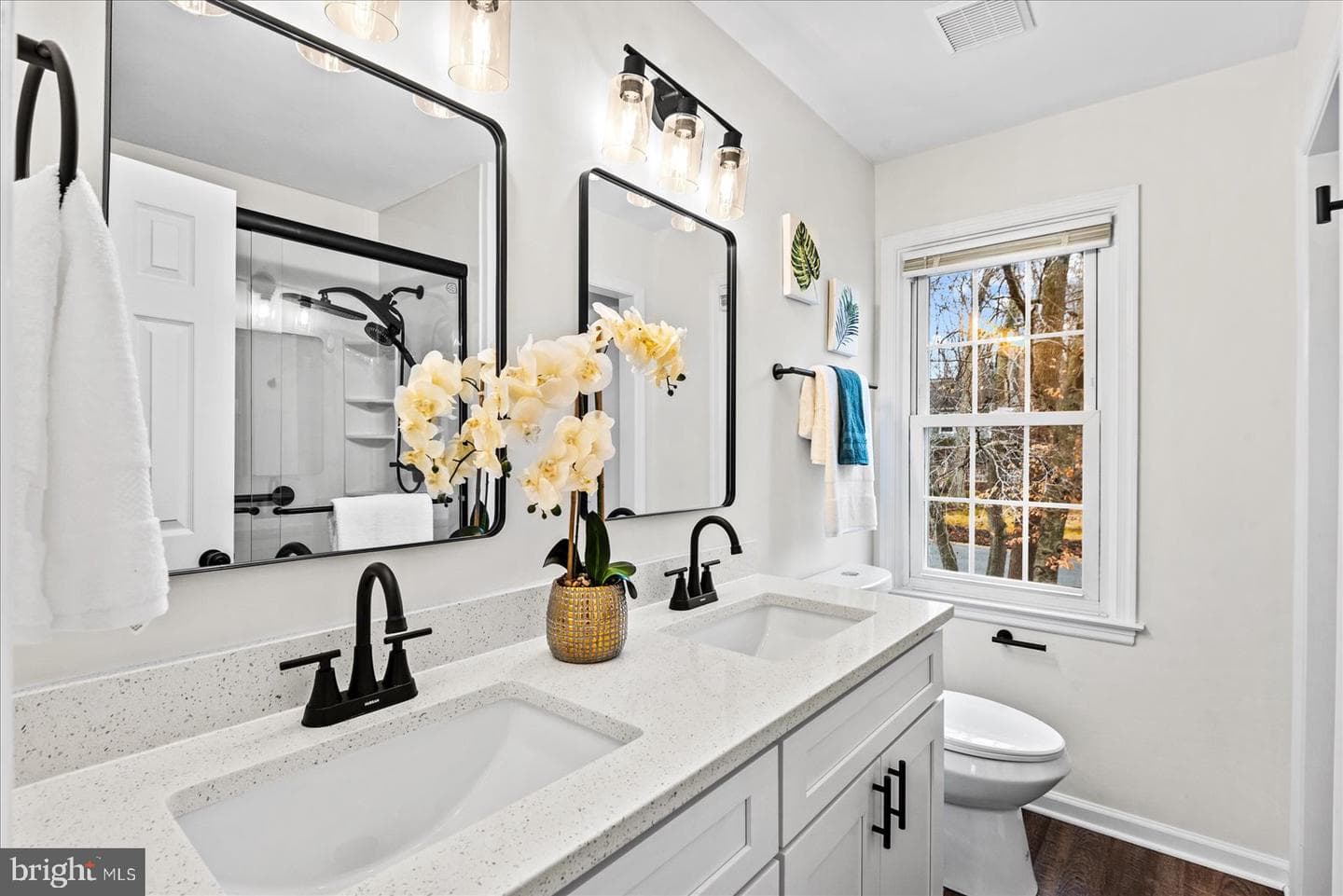 10709 Eden Brook Drive photo 23