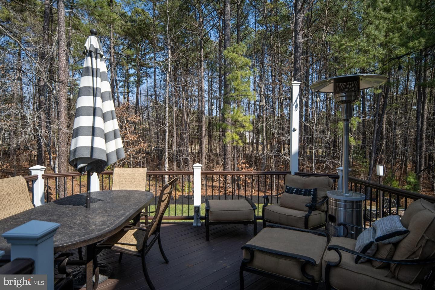 11611 Pine Hollow Lane photo 114
