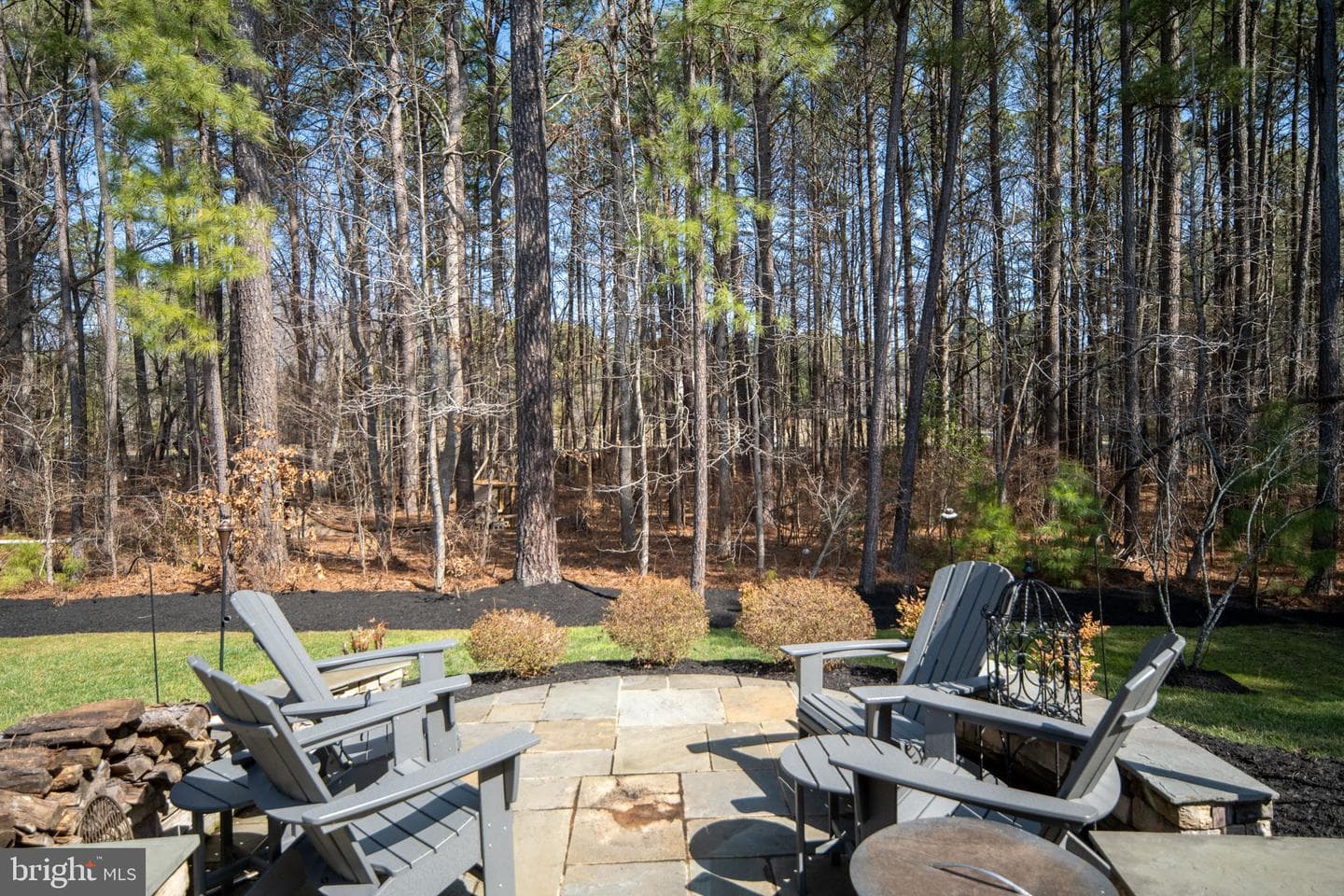 11611 Pine Hollow Lane photo 119