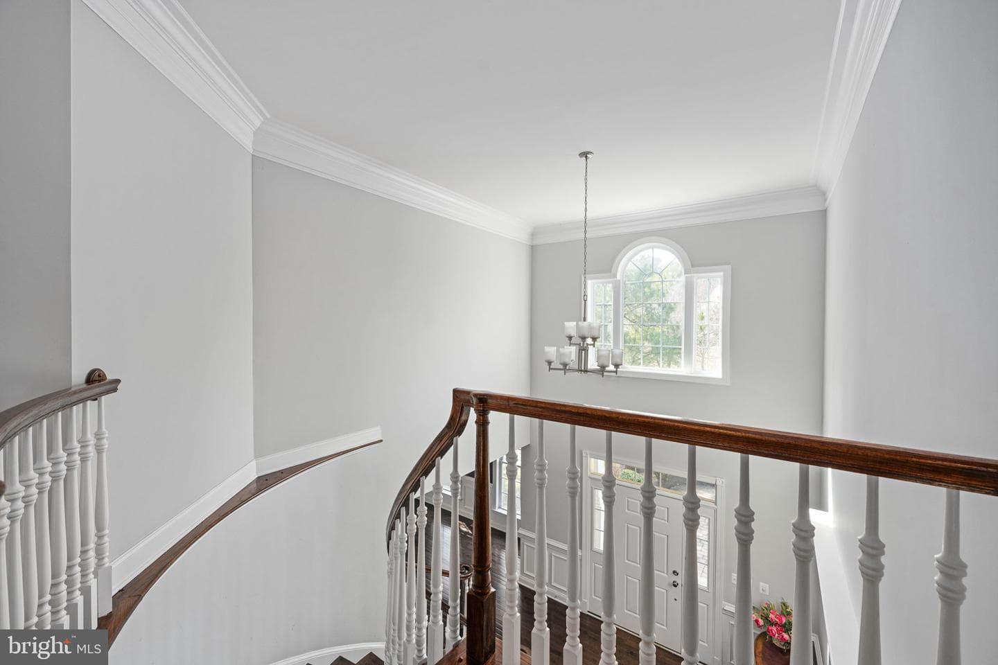 11611 Pine Hollow Lane photo 75