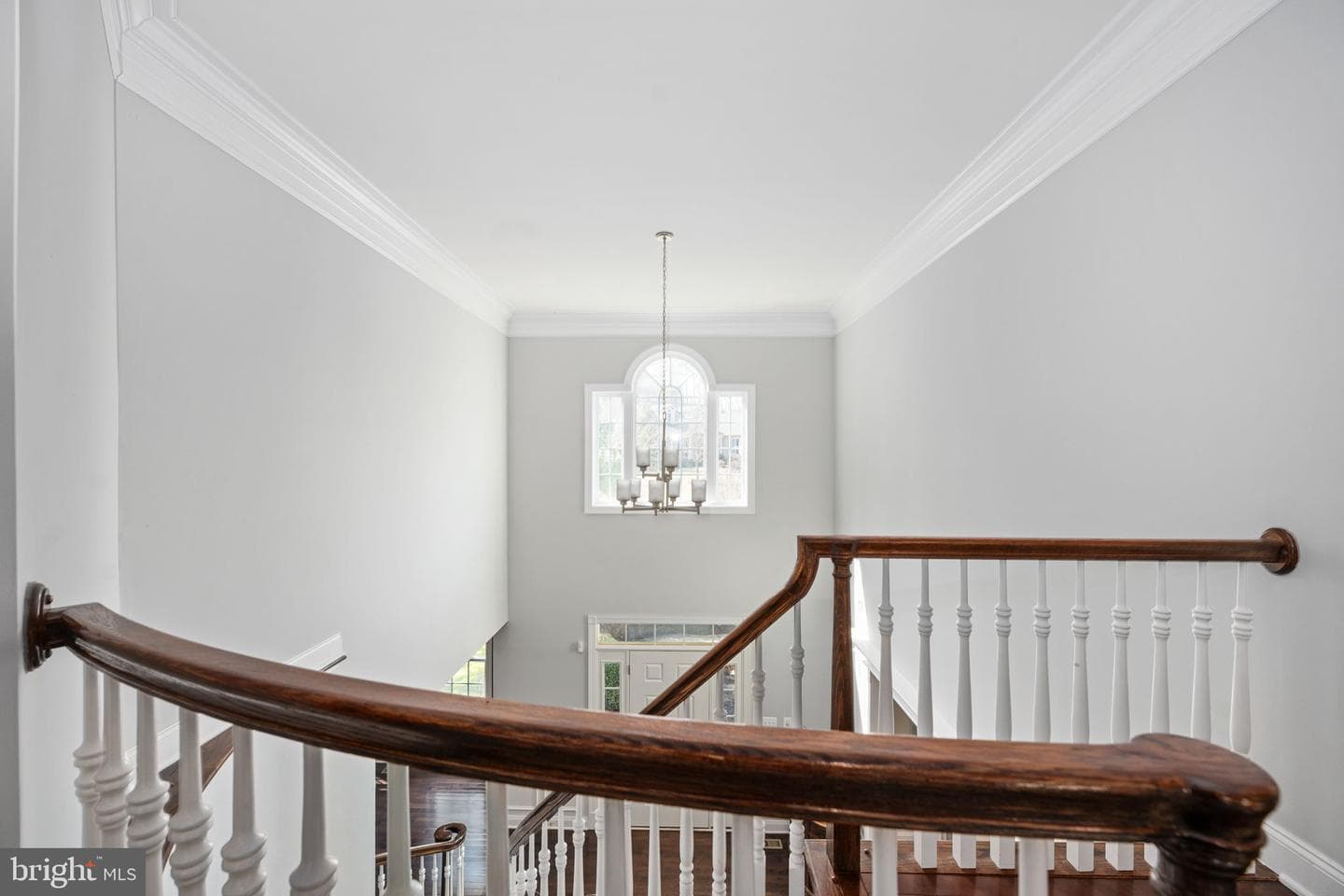 11611 Pine Hollow Lane photo 76