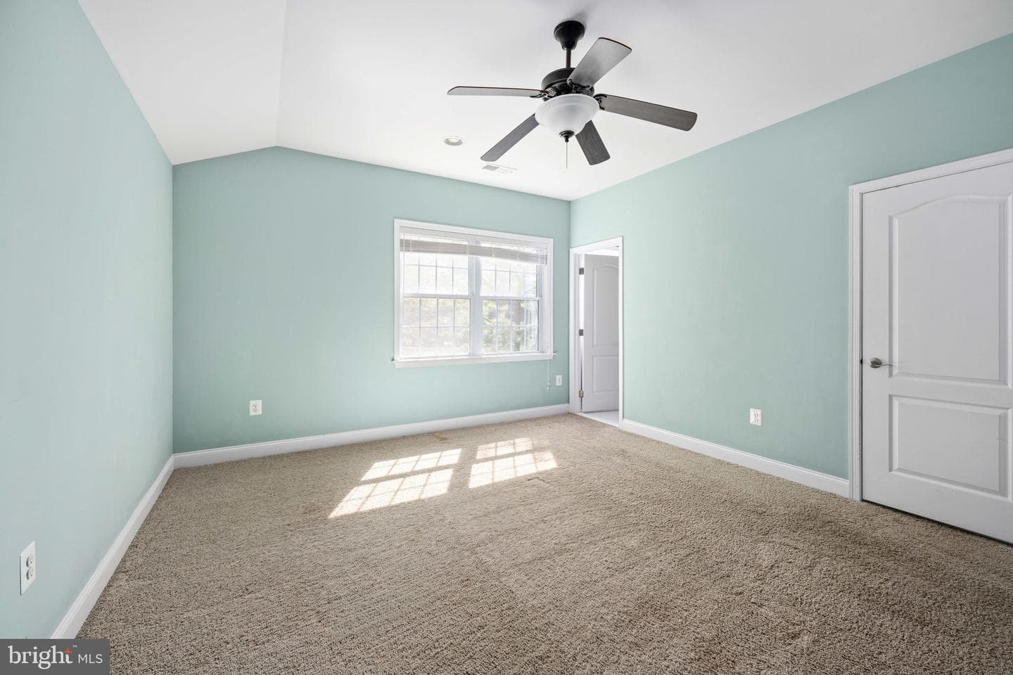 11611 Pine Hollow Lane photo 80