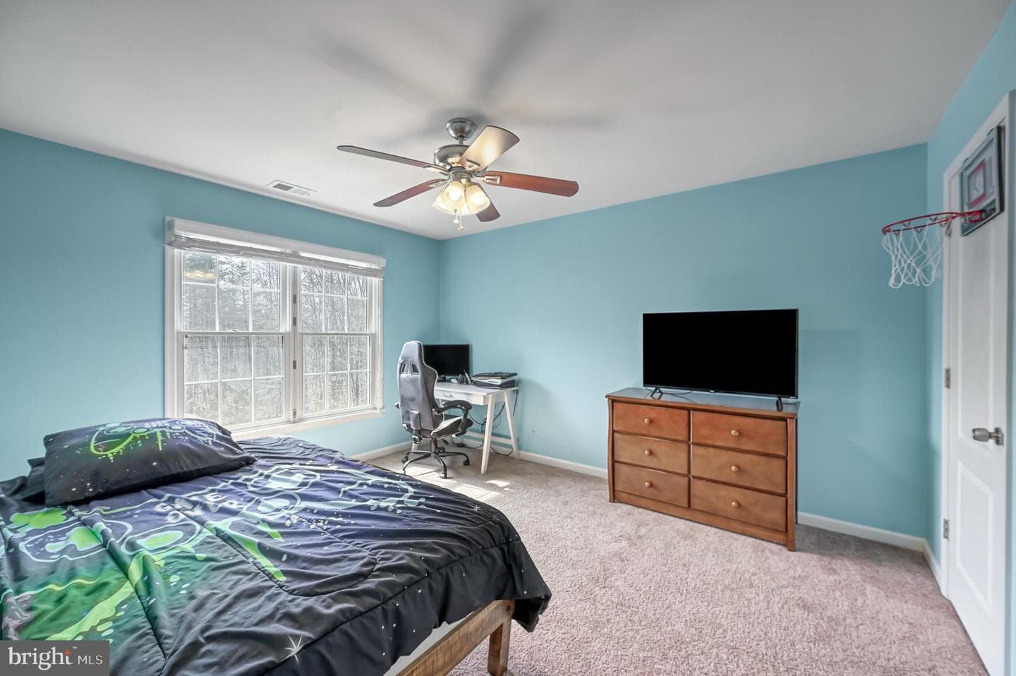 9490 Vanreenan Way photo 48