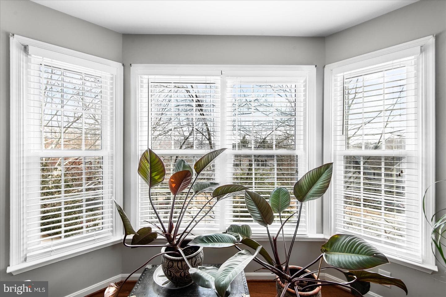 10511 Watford Lane photo 26