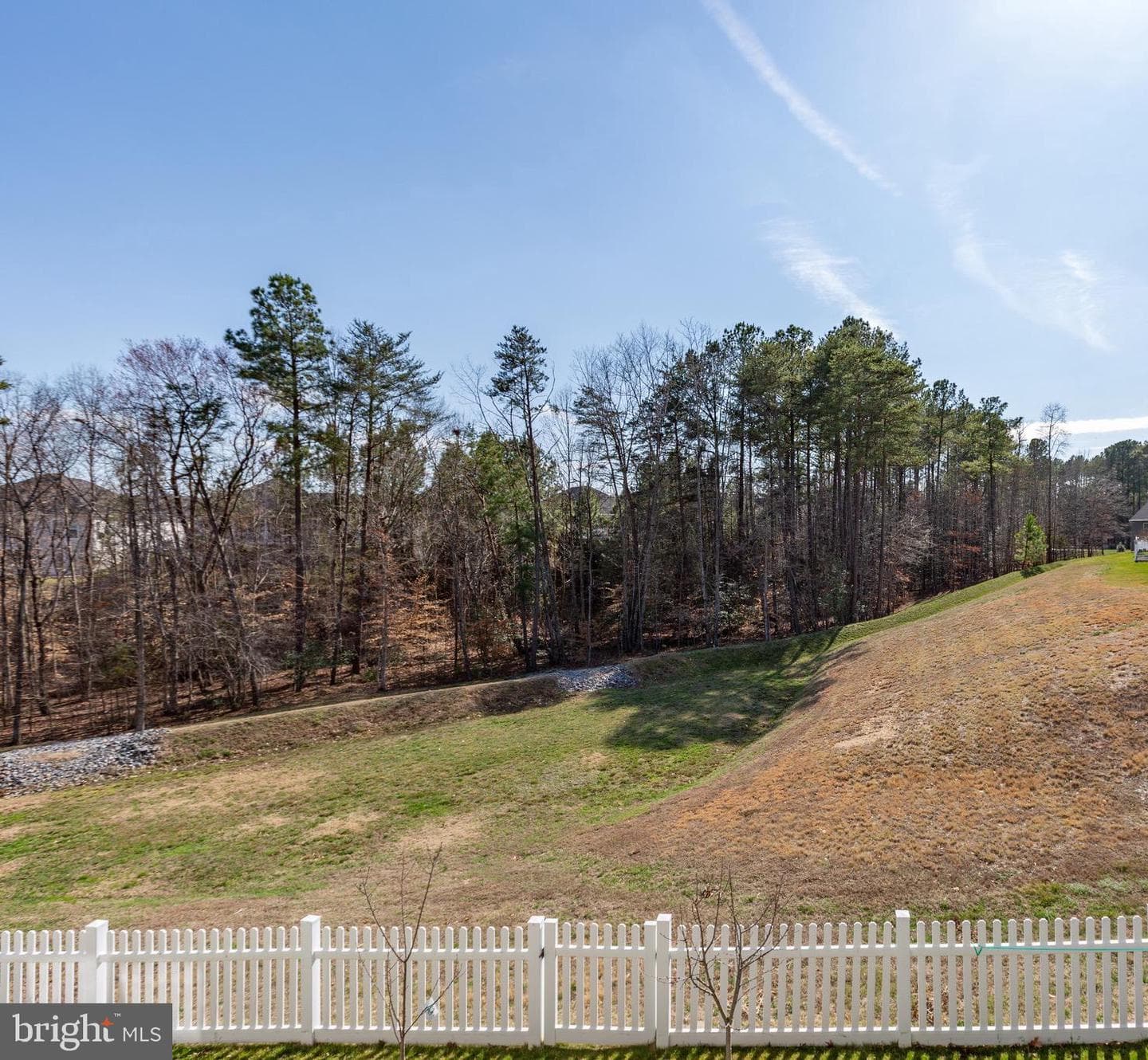 9808 White Oak Swamp Court photo 58