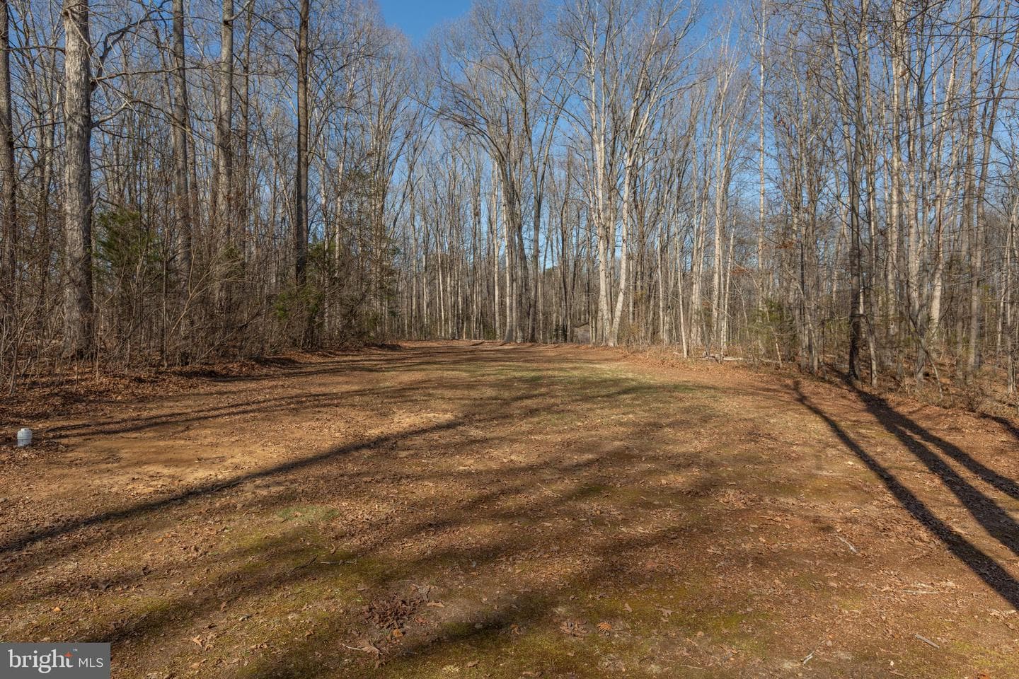 5825 Morris Road photo 81