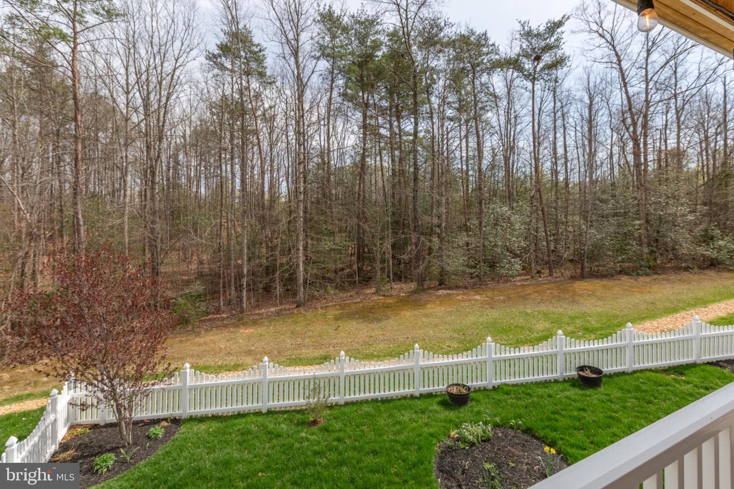 5606 Cedar Mountain Court photo 42