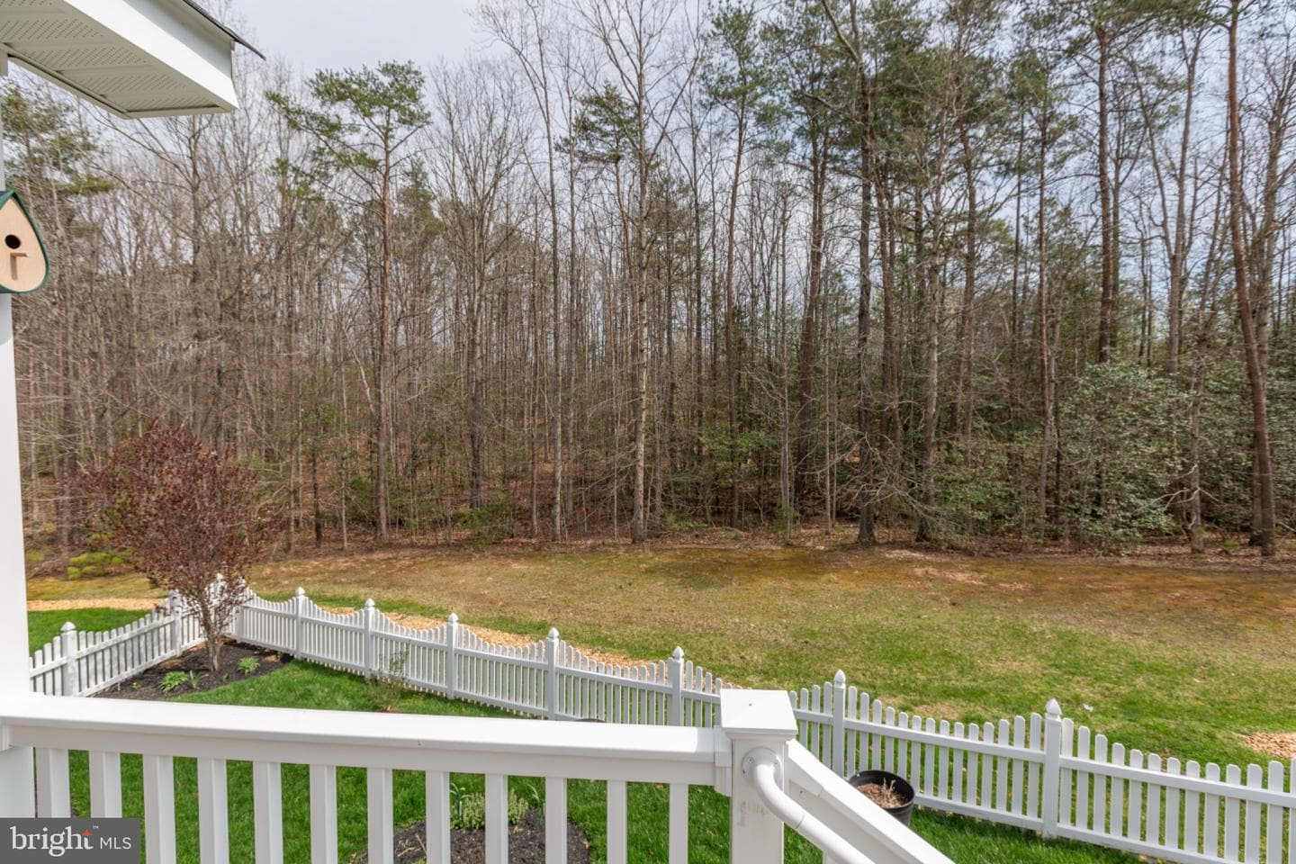 5606 Cedar Mountain Court photo 43