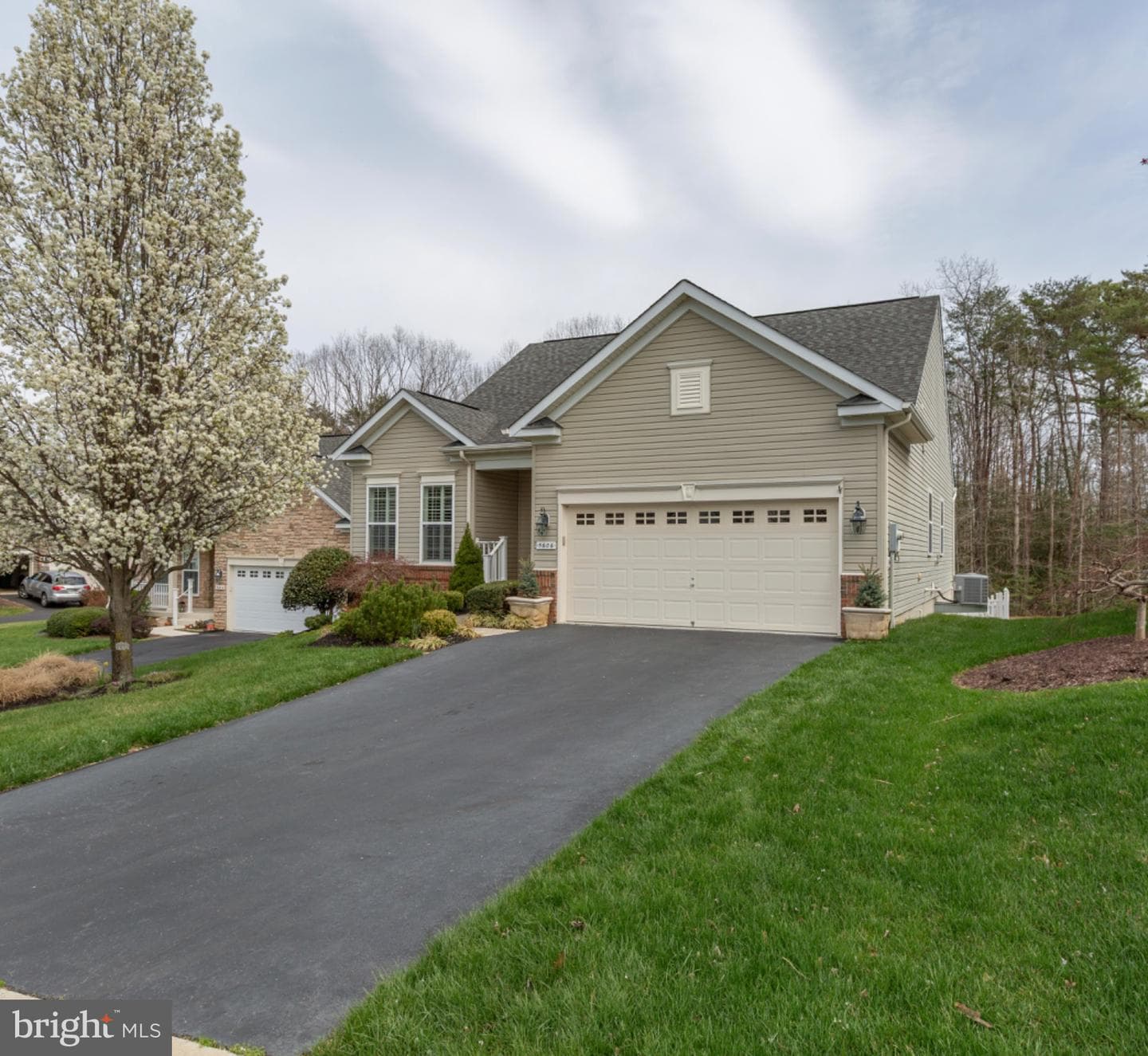 5606 Cedar Mountain Court photo 6