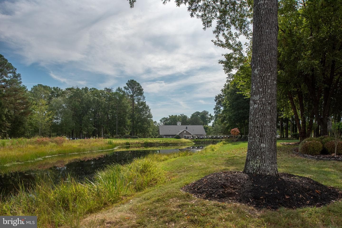 11004 Sheridan Drive photo 103
