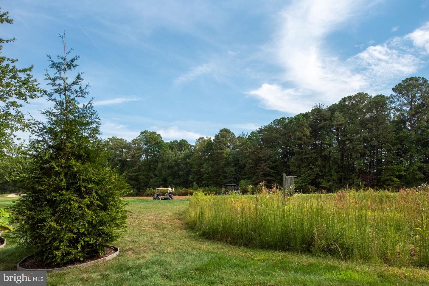 11004 Sheridan Drive photo 104