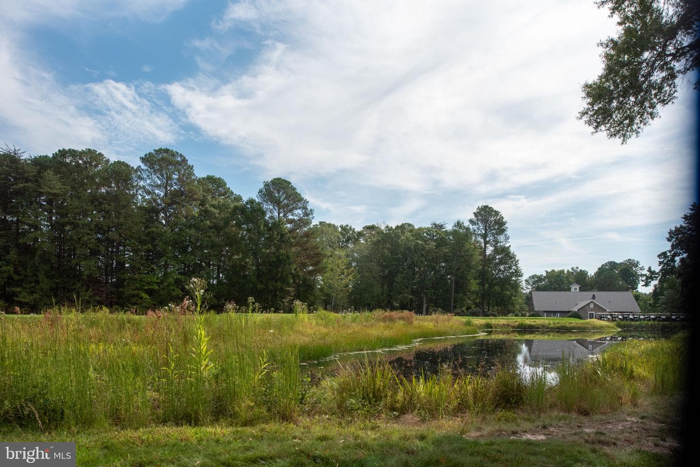 11004 Sheridan Drive photo 105