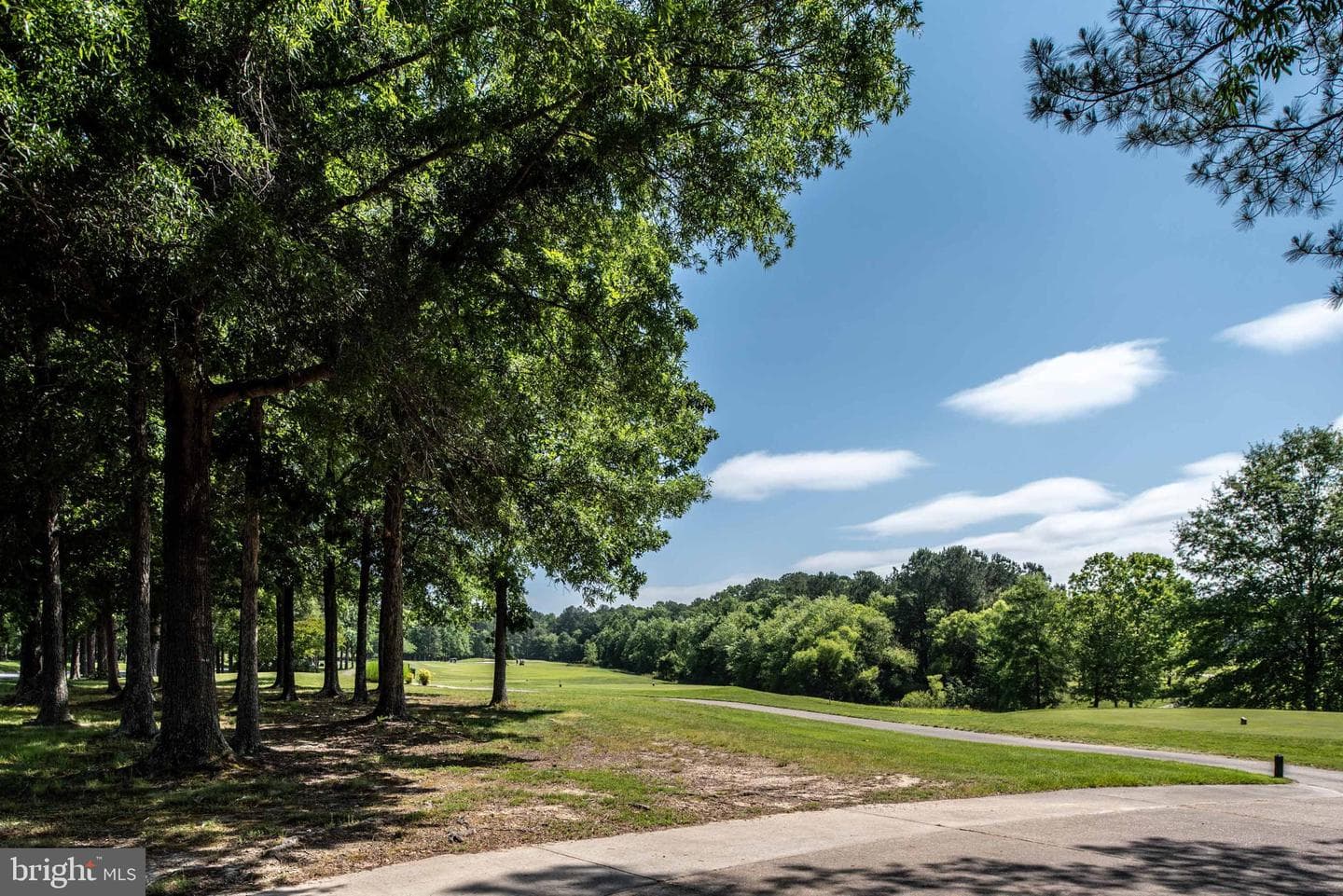 11004 Sheridan Drive photo 128