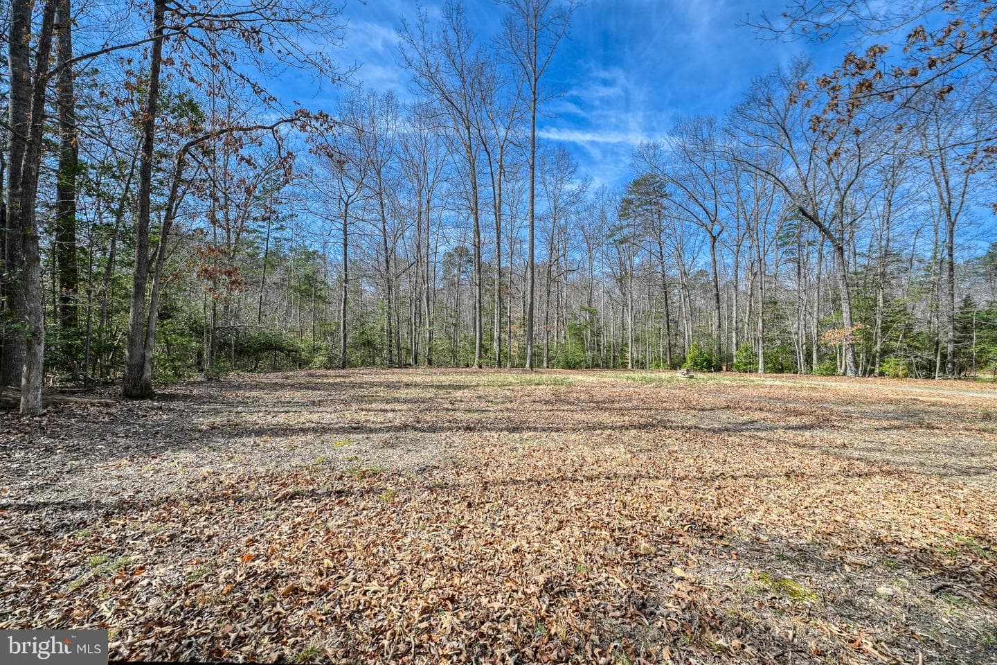 13415 Alva Brooks Lane photo 19