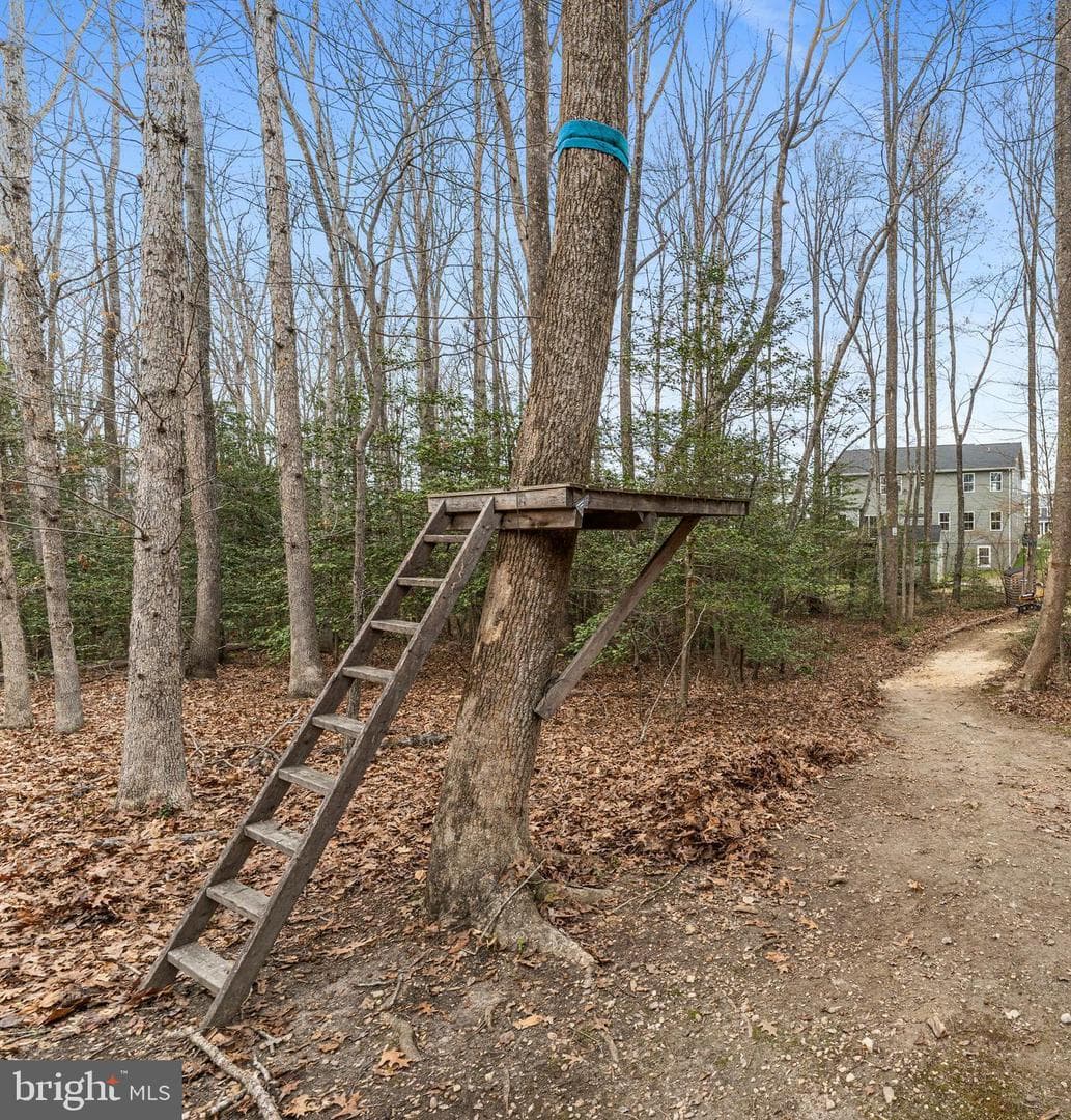 8600 Rawlings Court photo 56