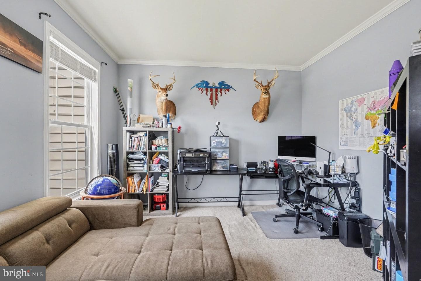 47 Noel Drive photo 13