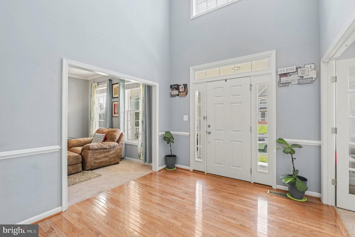 47 Noel Drive photo 5