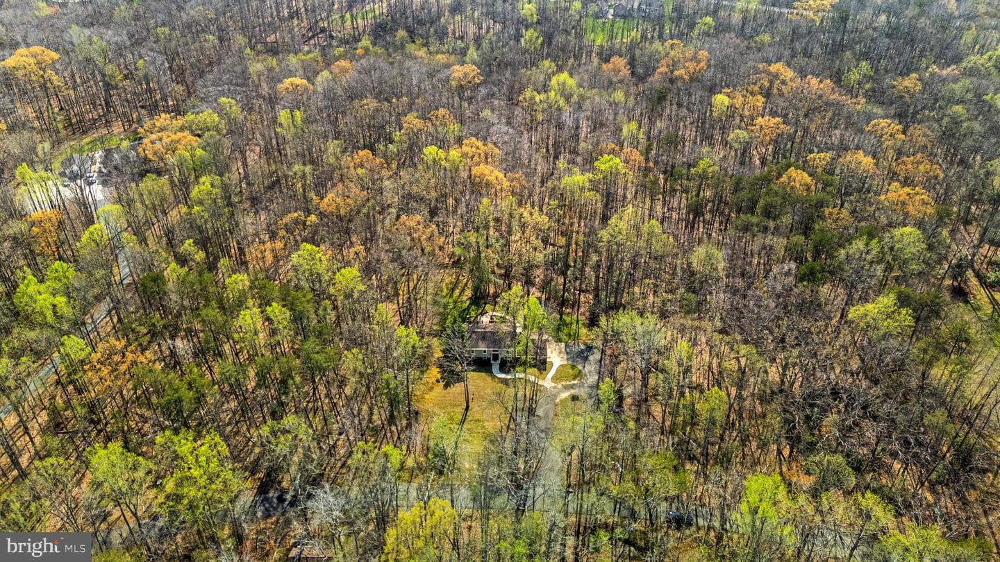 13404 Misty Way photo 45
