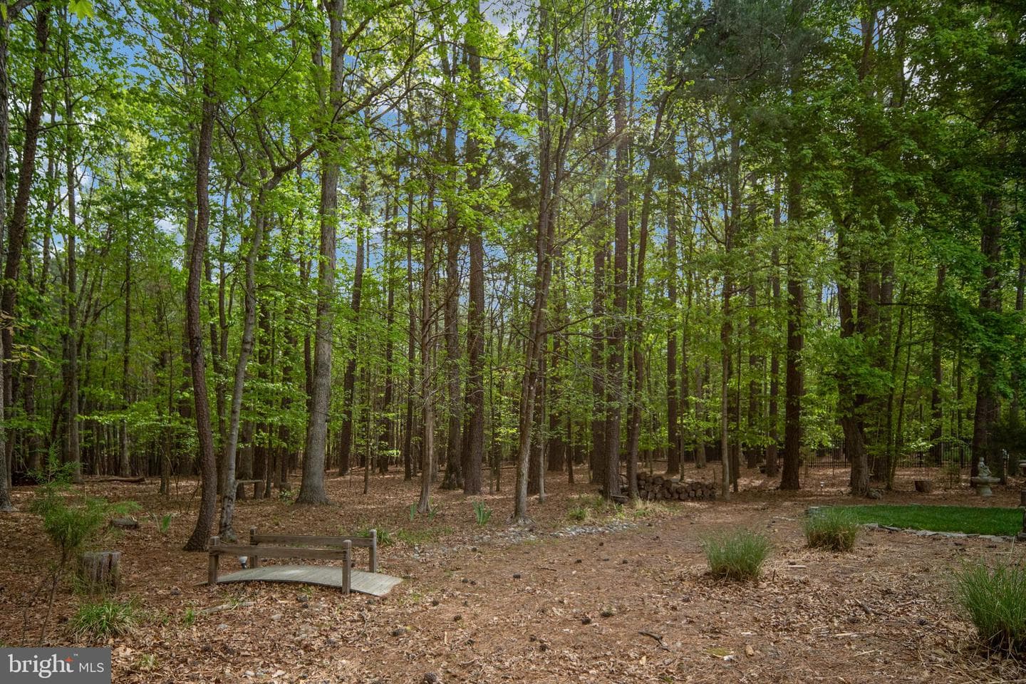 11329 Fawn Lake Parkway photo 44