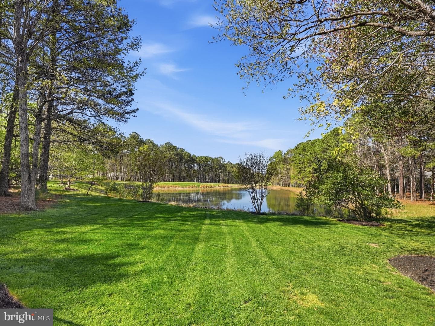 11406 Stonewall Jackson Drive photo 53