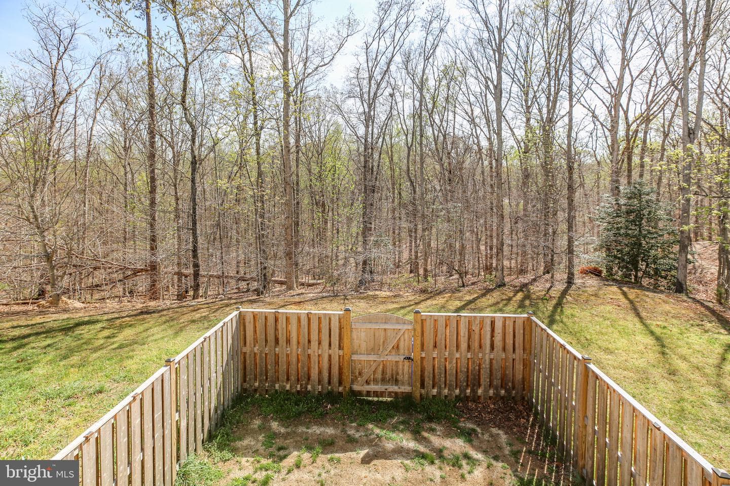 4512 Alliance Way photo 19