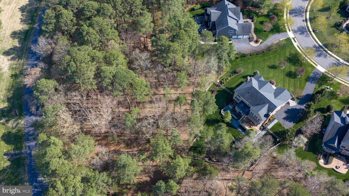 11613 Pine Hollow Lane photo 108