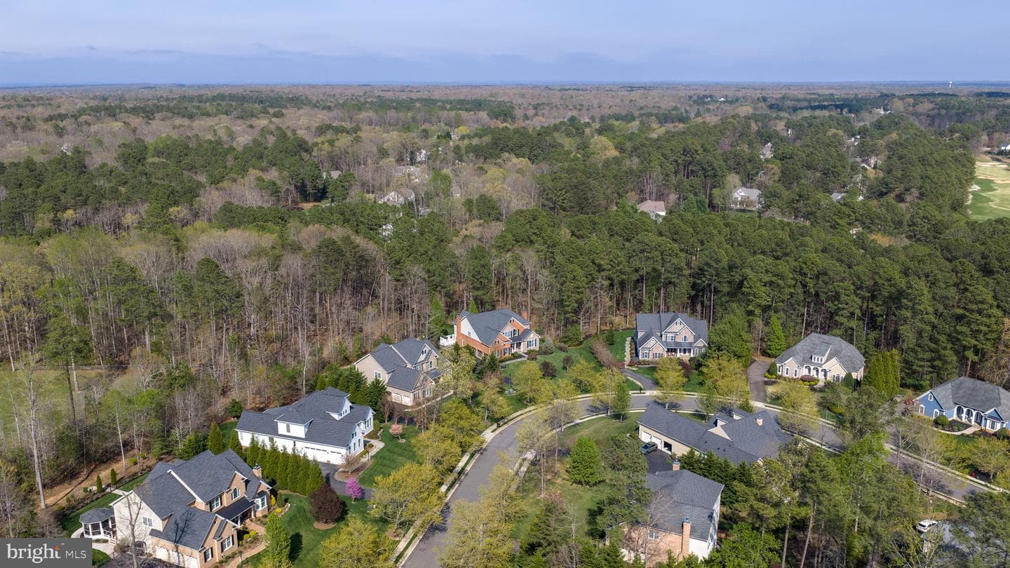 11613 Pine Hollow Lane photo 118
