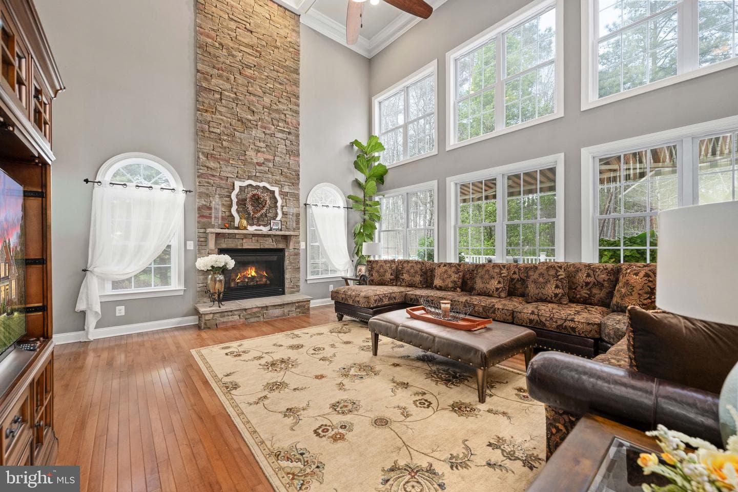 11613 Pine Hollow Lane photo 58