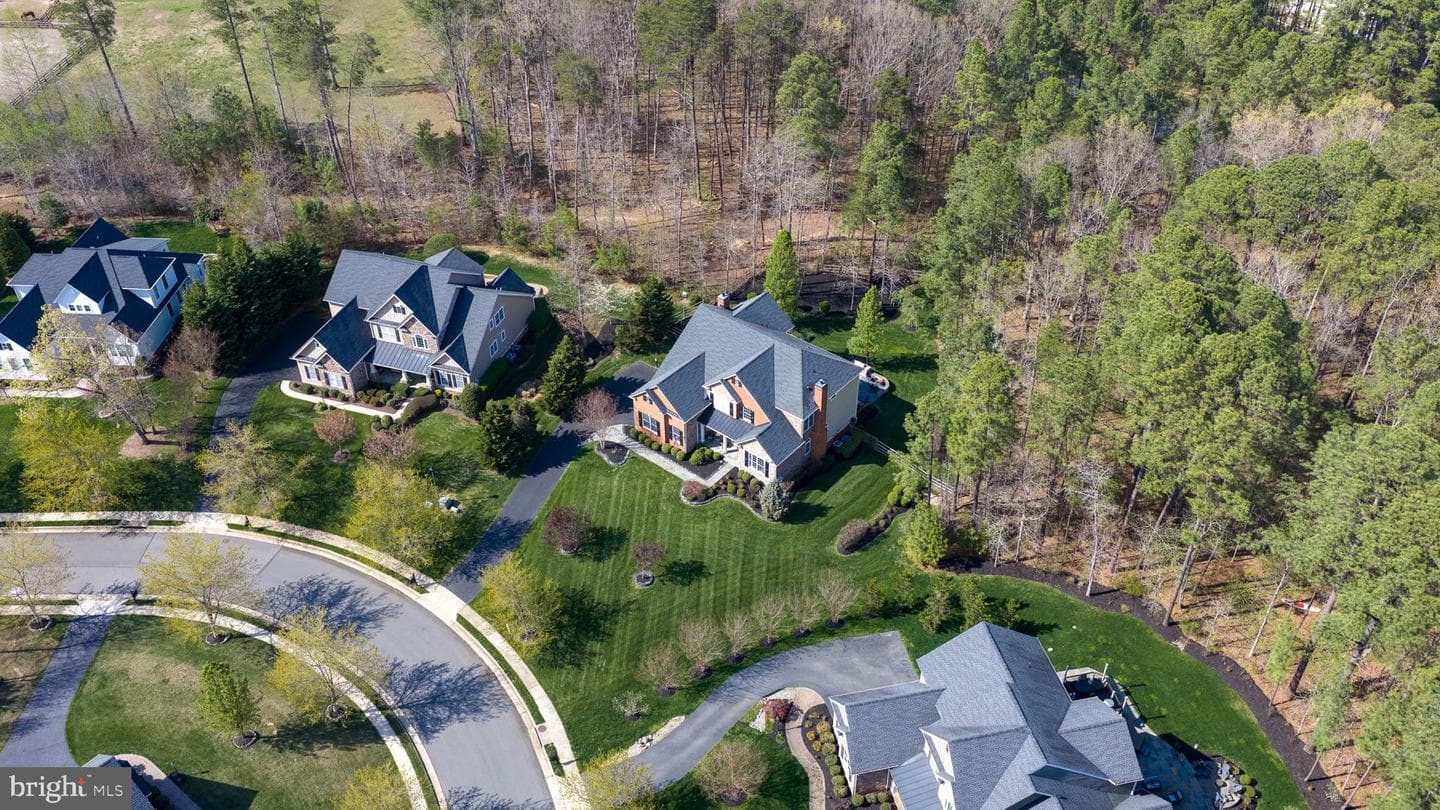 11613 Pine Hollow Lane photo 6