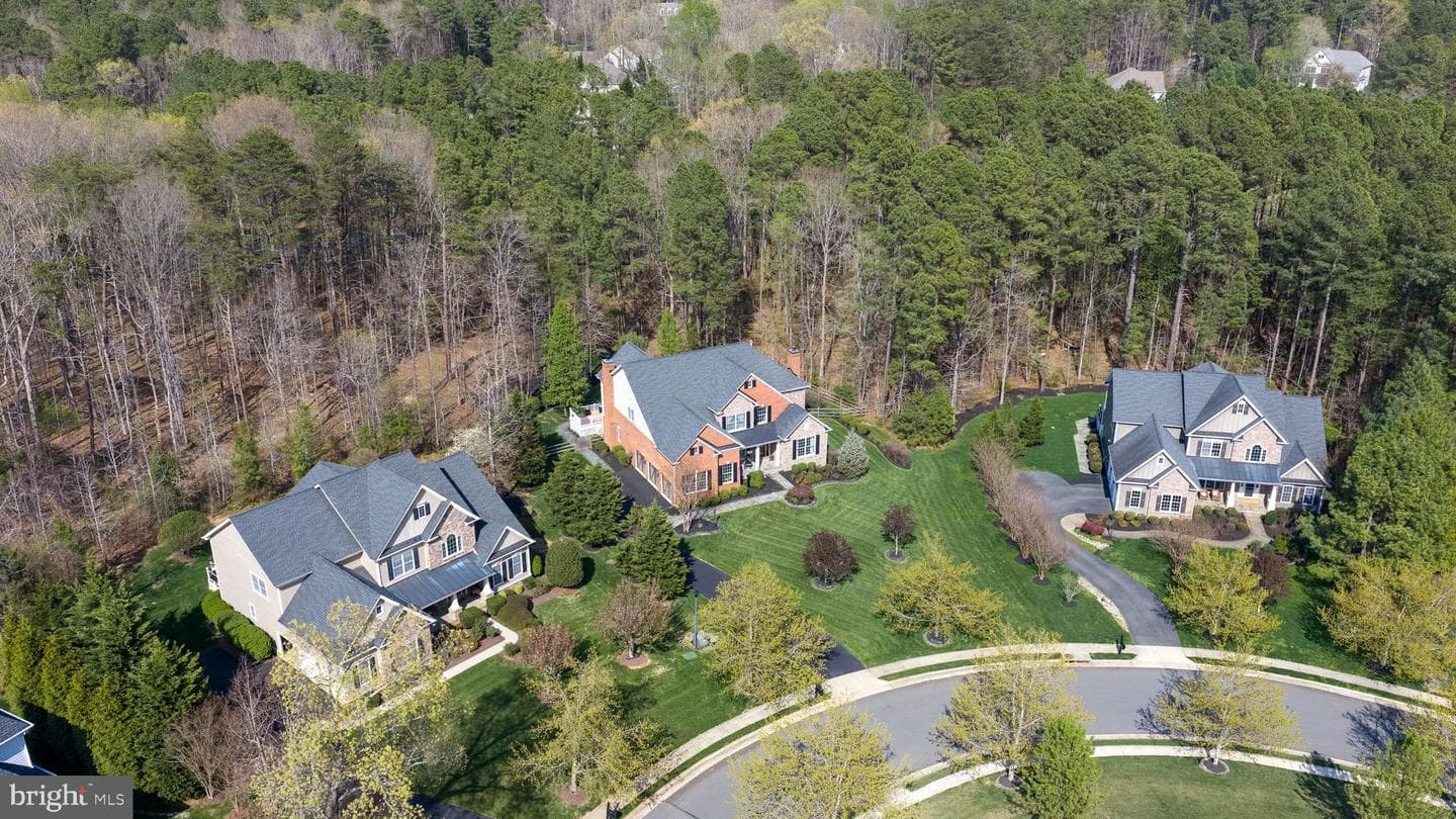 11613 Pine Hollow Lane photo 7